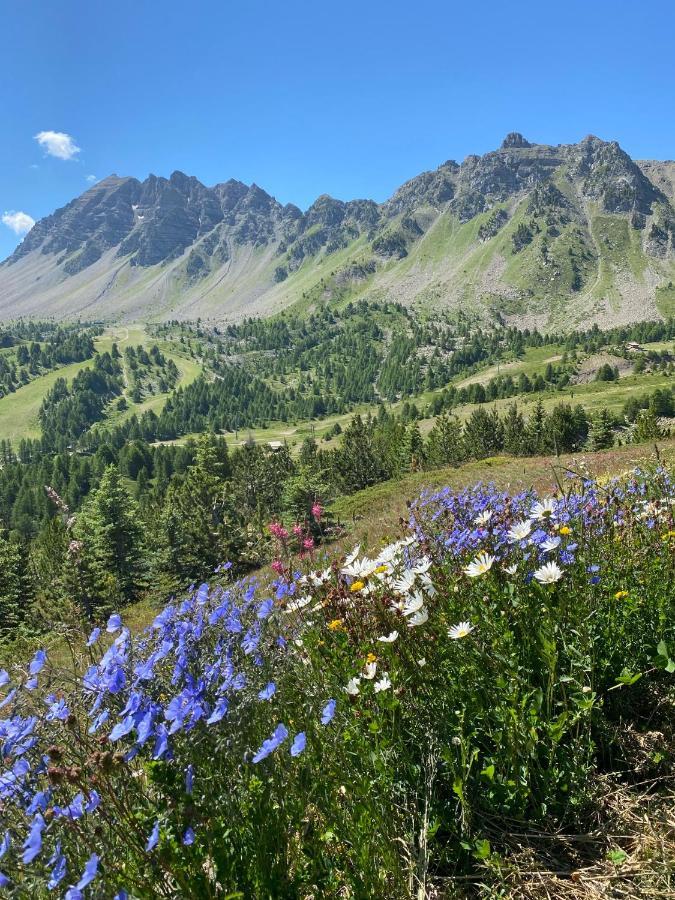 Studio 4 Pers A 100M Des Pistes- Vars Les Claux Exterior photo